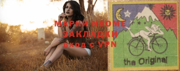 шишки Новодвинск