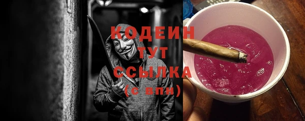 шишки Новодвинск
