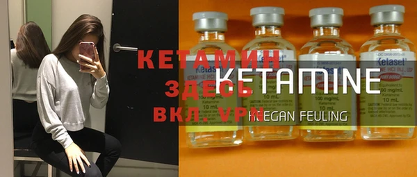 мет Новозыбков