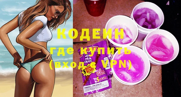 шишки Новодвинск