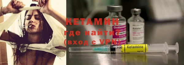 шишки Новодвинск