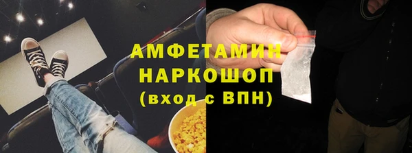 шишки Новодвинск