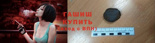 шишки Новодвинск