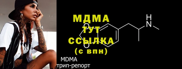 шишки Новодвинск