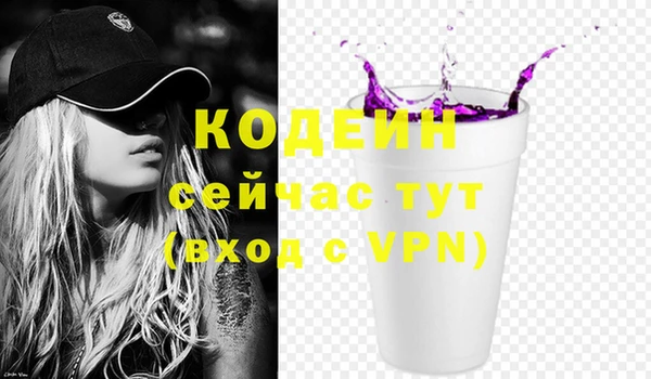 шишки Новодвинск