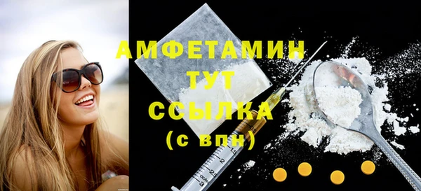 шишки Новодвинск