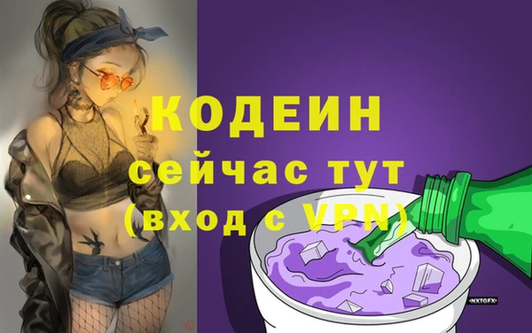 мет Новозыбков