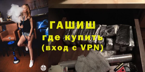 шишки Новодвинск