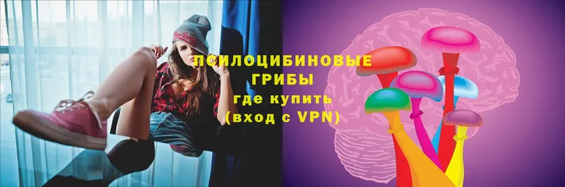 Псилоцибиновые грибы мицелий  Ишимбай 