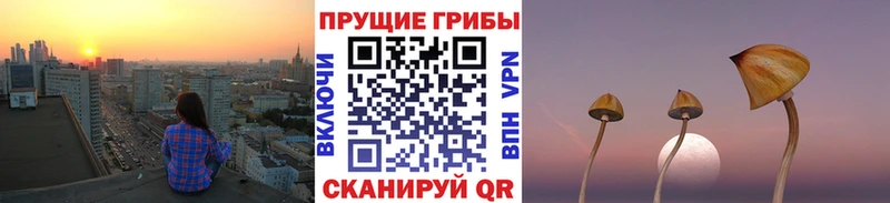 Псилоцибиновые грибы Psilocybine cubensis  наркошоп  Ишимбай 