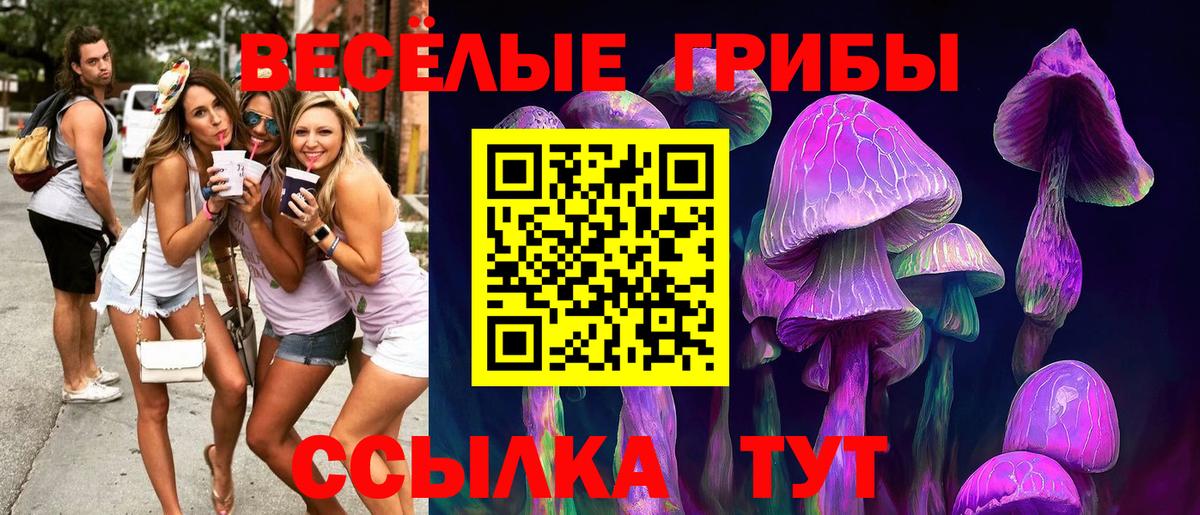 Ишимбай  Галлюциногенные грибы Cubensis  Вход с VPN  Псилоцибиновые грибы прущие грибы 