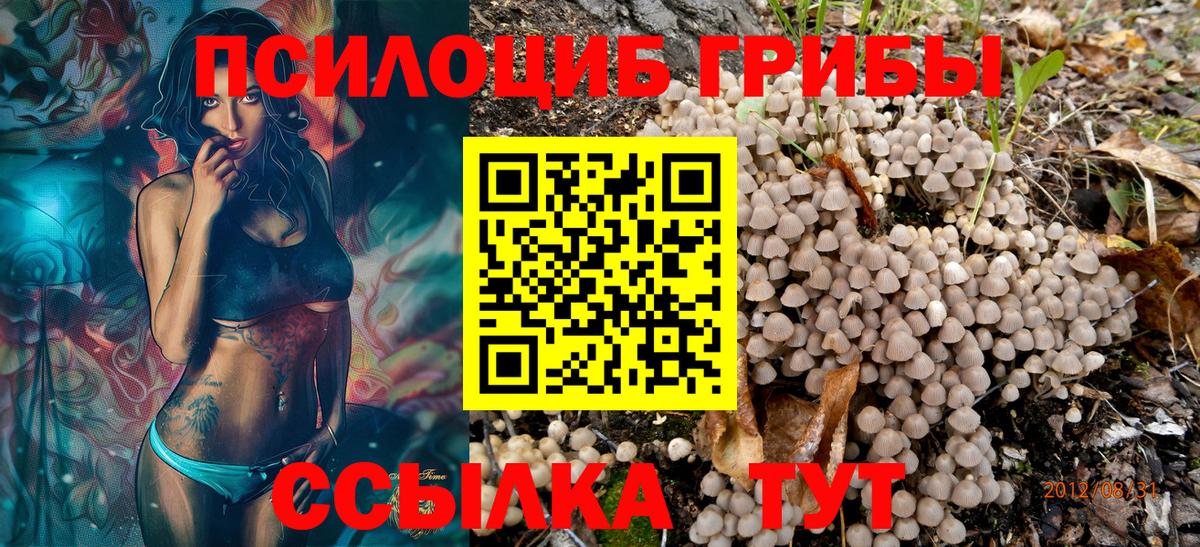 Галлюциногенные грибы мицелий Ишимбай
